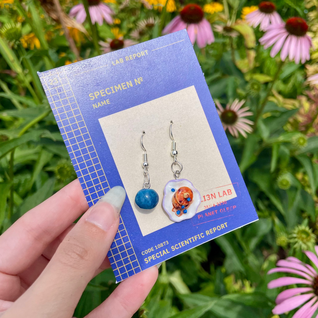 A hand holds a blue card displaying a pair of dangling earrings outdoors in front of green foliage and pink-and-white coneflowers. The earrings have silver hooks, and include a round blueberry and a plate of stacked blueberry pancakes.