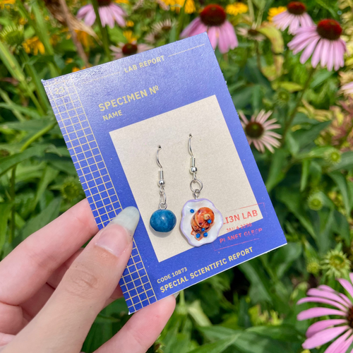 A hand holds a blue card displaying a pair of dangling earrings outdoors in front of green foliage and pink-and-white coneflowers. The earrings have silver hooks, and include a round blueberry and a plate of stacked blueberry pancakes.