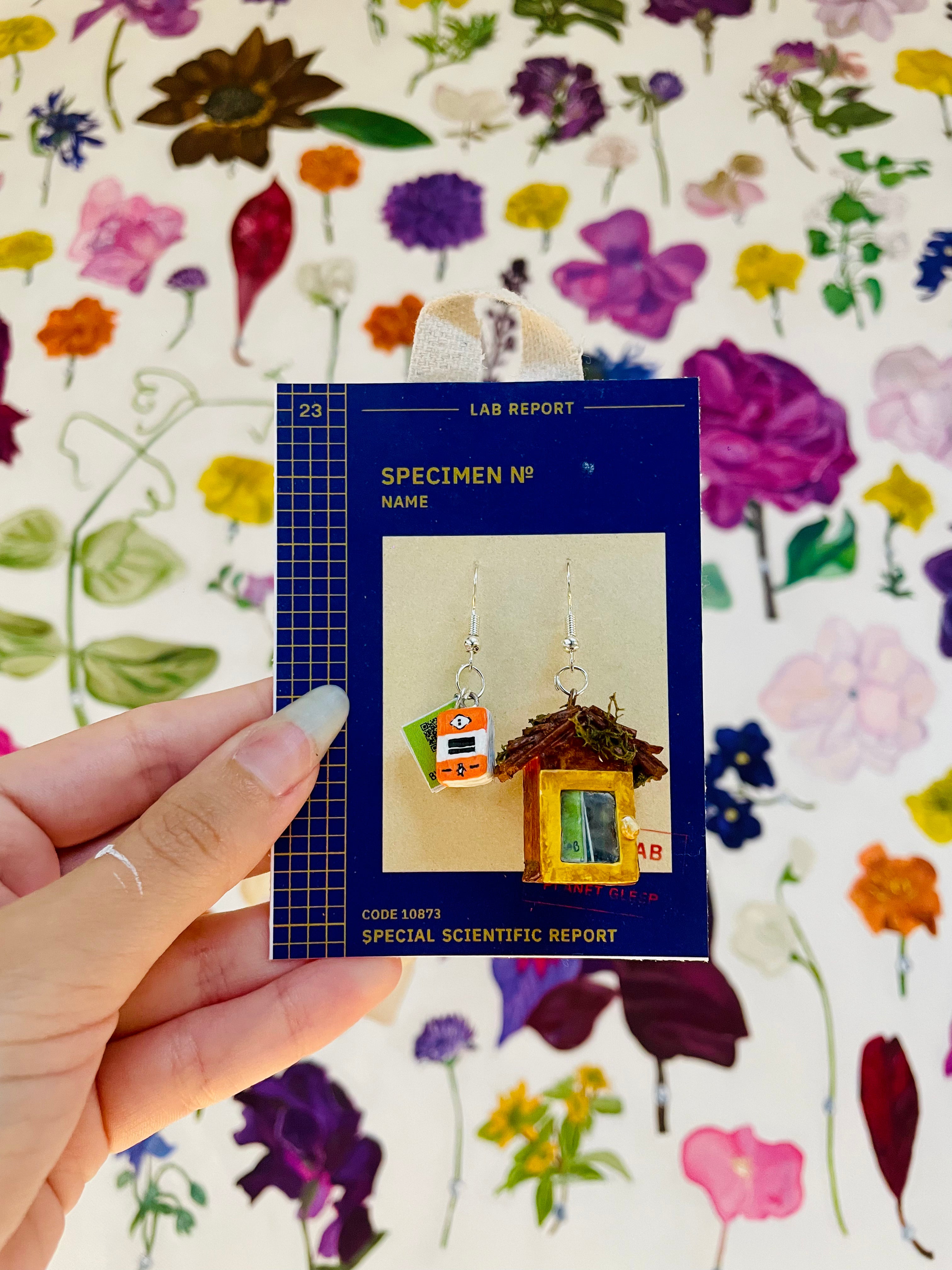 Little Free Library Earrings