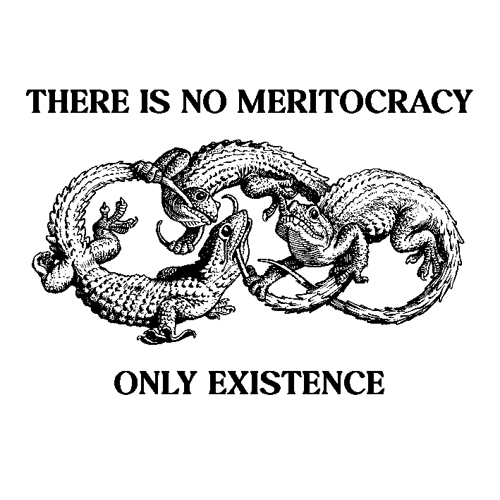 No Meritocracy Sticker